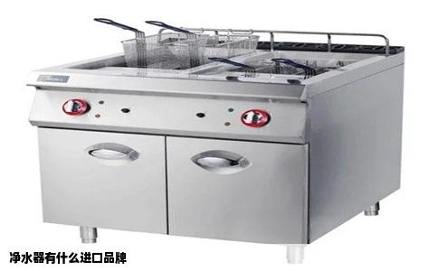 净水器有什么进口品牌