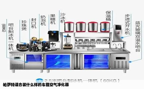帕萨特适合装什么样的车载空气净化器