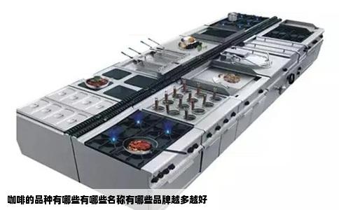 咖啡的品种有哪些有哪些名称有哪些品牌越多越好