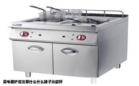 买电磁炉应注意什么什么牌子比较好