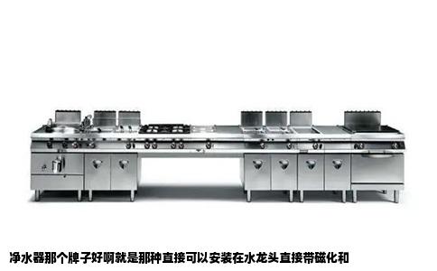 净水器那个牌子好啊就是那种直接可以安装在水龙头直接带磁化和