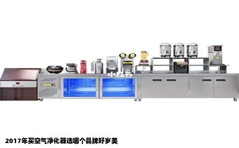 2017年买空气净化器选哪个品牌好岁美