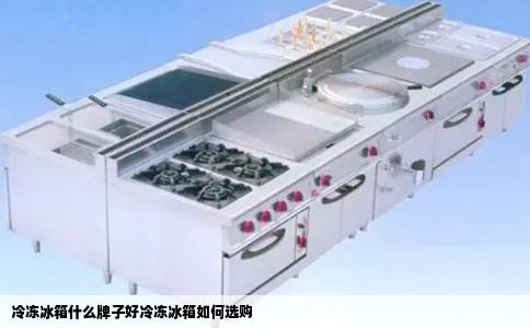 冷冻冰箱什么牌子好冷冻冰箱如何选购