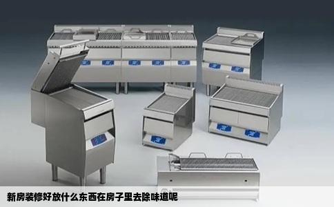新房装修好放什么东西在房子里去除味道呢