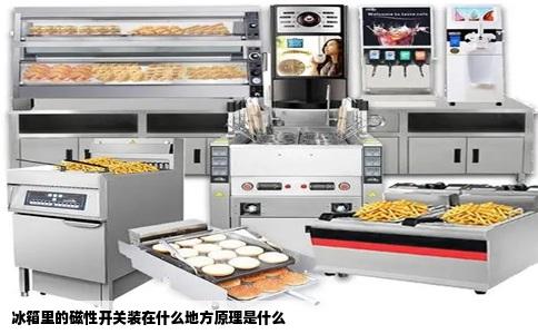 冰箱里的磁性开关装在什么地方原理是什么
