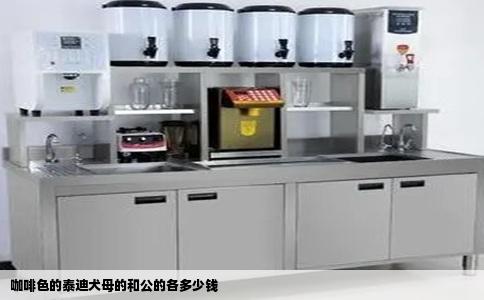 咖啡色的泰迪犬母的和公的各多少钱