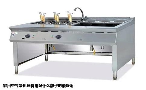 家用空气净化器有用吗什么牌子的最好啊