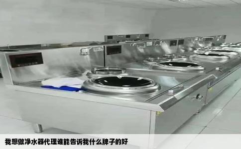 我想做净水器代理谁能告诉我什么牌子的好