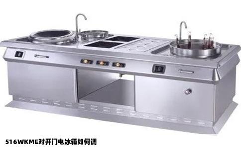 516WKME对开门电冰箱如何调