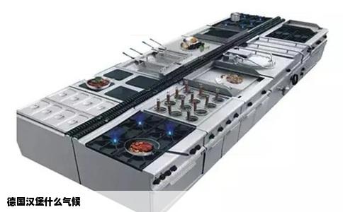 德国汉堡什么气候