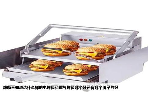 烤箱不知道选什么样的电烤箱和燃气烤箱哪个好还有哪个牌子的好