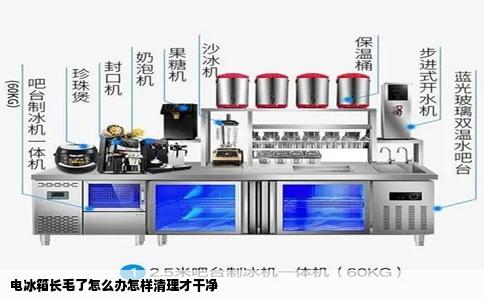 电冰箱长毛了怎么办怎样清理才干净
