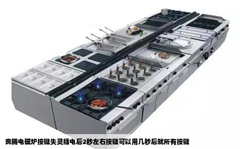 奔腾电磁炉按键失灵插电后2秒左右按键可以用几秒后就所有按键