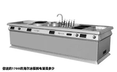 你说的1700的海尔冰箱耗电量是多少