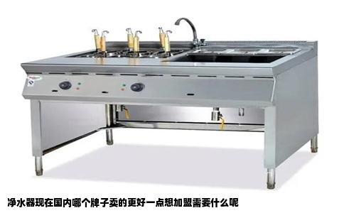 净水器现在国内哪个牌子卖的更好一点想加盟需要什么呢