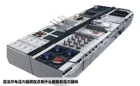 苏泊尔电压力锅现在还有什么新款的压力锅吗