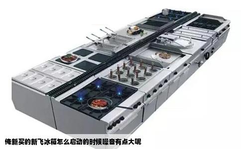 俺新买的新飞冰箱怎么启动的时候噪音有点大呢