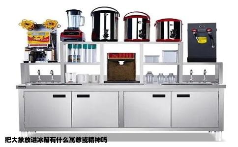 把大象放进冰箱有什么寓意或精神吗