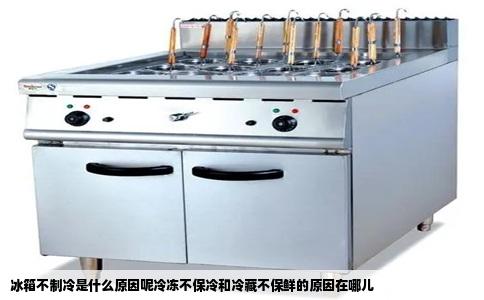 冰箱不制冷是什么原因呢冷冻不保冷和冷藏不保鲜的原因在哪儿