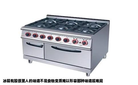 冰箱有股很薰人的味道不是食物变质难以形容那种味道超难闻