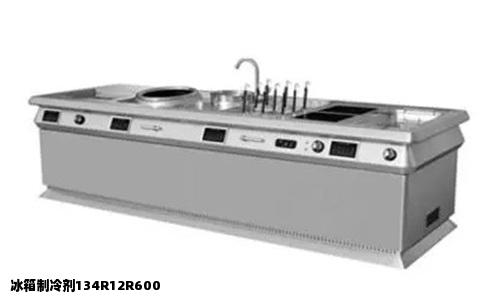 冰箱制冷剂134R12R600