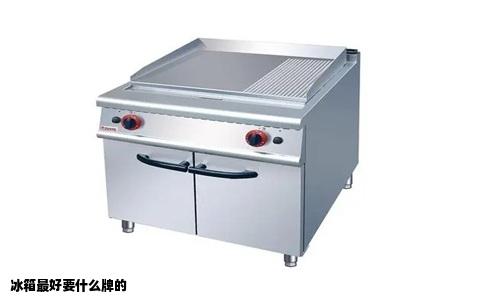 冰箱最好要什么牌的