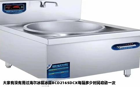 大家有没有用过海尔冰箱冰箱BCD216SDCX每隔多少时间启动一次