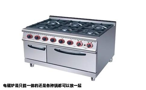 电磁炉是只能一体的还是各种锅都可以放一起