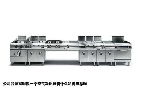 公司会议室想换一个空气净化器有什么品牌推荐吗