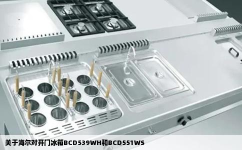 关于海尔对开门冰箱BCD539WH和BCD551WS