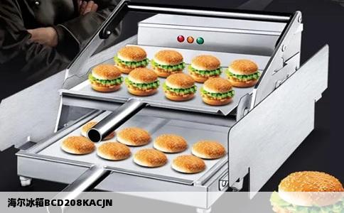 海尔冰箱BCD208KACJN