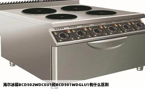 海尔冰箱BCD502WDCEU1和BCD501WDGLU1有什么区别