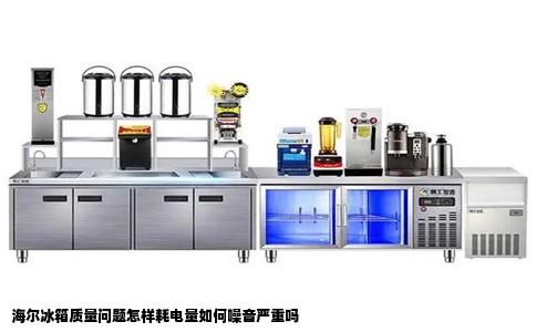 海尔冰箱质量问题怎样耗电量如何噪音严重吗