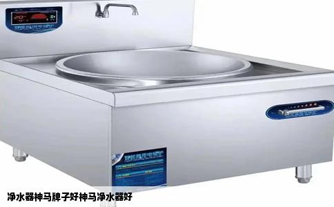 净水器神马牌子好神马净水器好