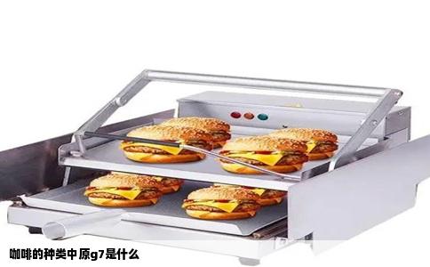 咖啡的种类中原g7是什么