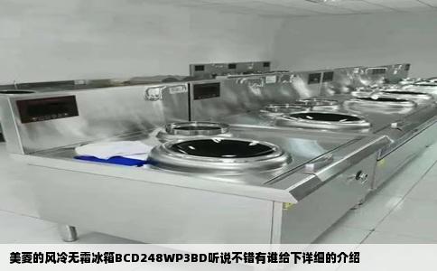 美菱的风冷无霜冰箱BCD248WP3BD听说不错有谁给下详细的介绍