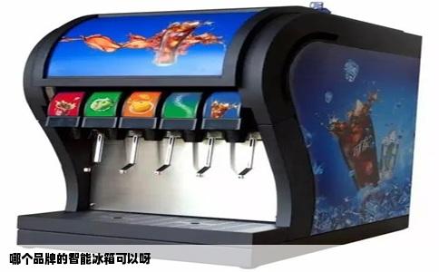 哪个品牌的智能冰箱可以呀