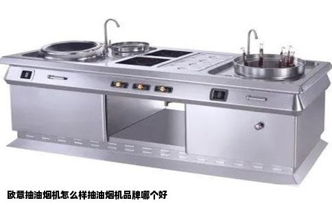 欧意抽油烟机怎么样抽油烟机品牌哪个好