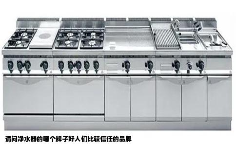 请问净水器的哪个牌子好人们比较信任的品牌