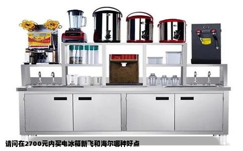 请问在2700元内买电冰箱新飞和海尔哪种好点