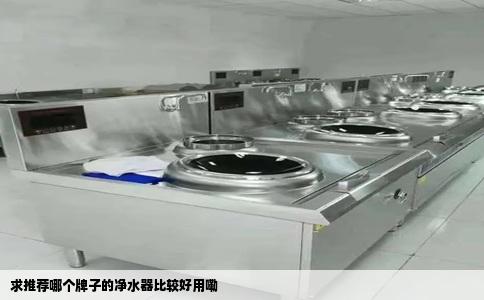 求推荐哪个牌子的净水器比较好用嘞
