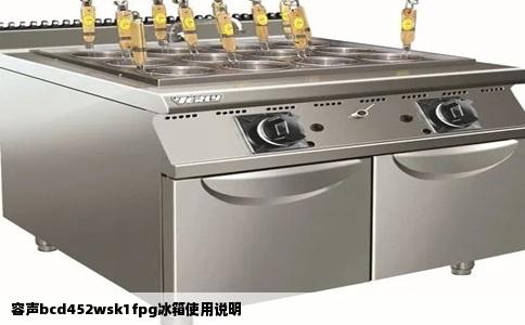 容声bcd452wsk1fpg冰箱使用说明