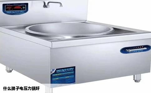 什么牌子电压力锅好