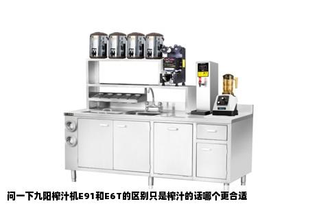 问一下九阳榨汁机E91和E6T的区别只是榨汁的话哪个更合适