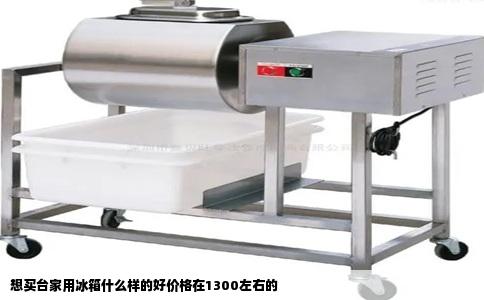 想买台家用冰箱什么样的好价格在1300左右的