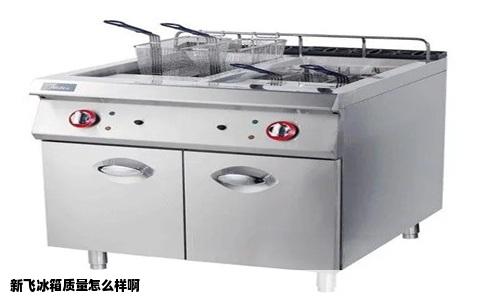 新飞冰箱质量怎么样啊