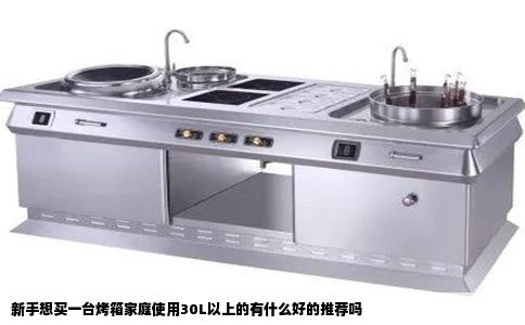 新手想买一台烤箱家庭使用30L以上的有什么好的推荐吗