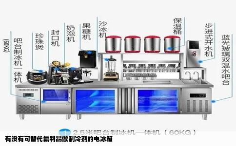 有没有可替代氟利昂做制冷剂的电冰箱