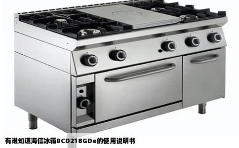 有谁知道海信冰箱BCD218GDe的使用说明书