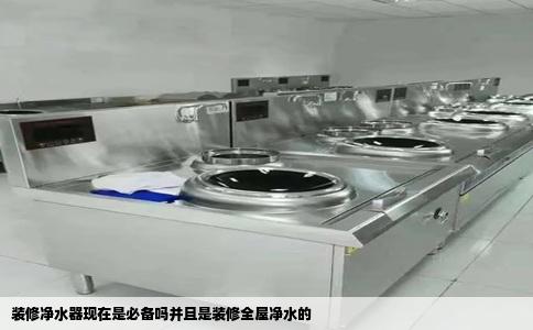 装修净水器现在是必备吗并且是装修全屋净水的